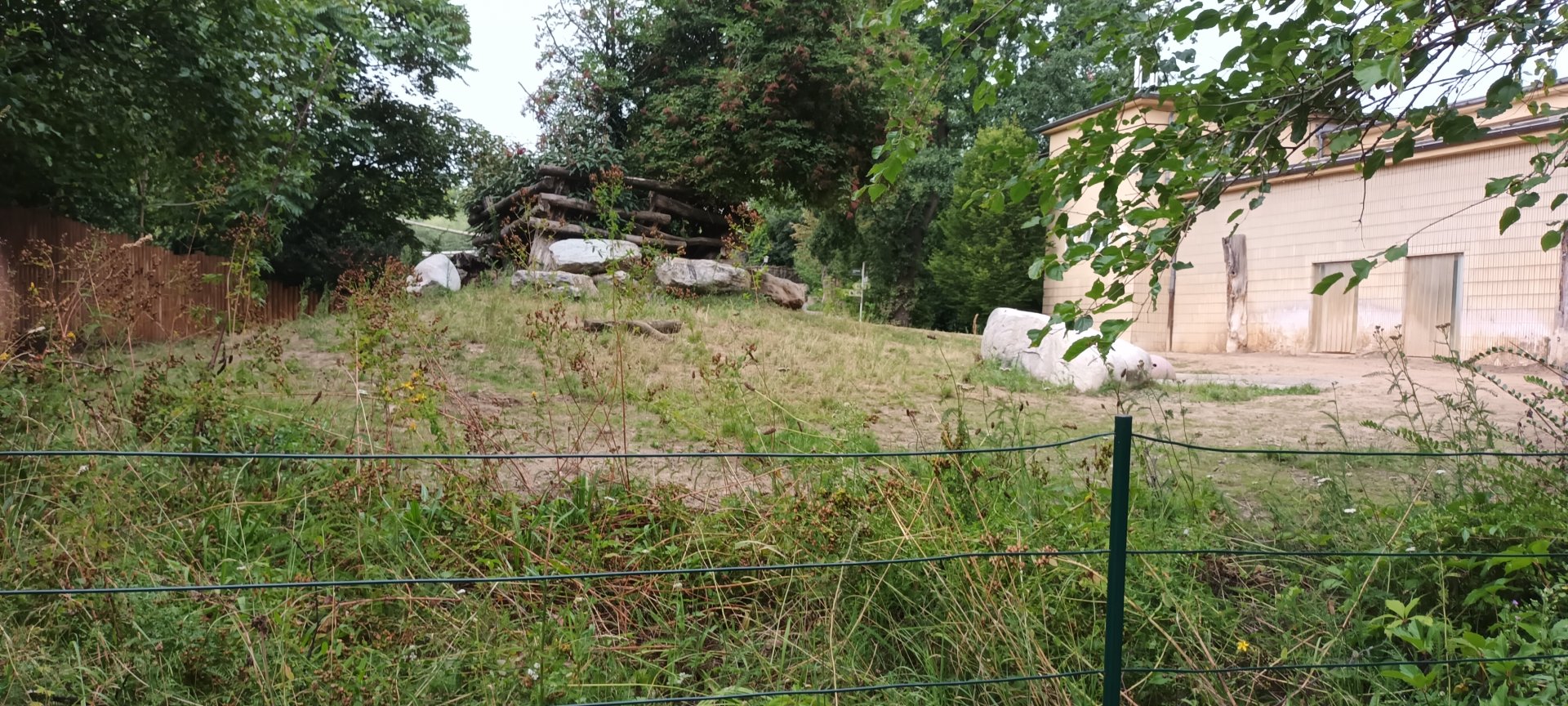 Pachyderm House: Eastern black Rhino Enclosure
