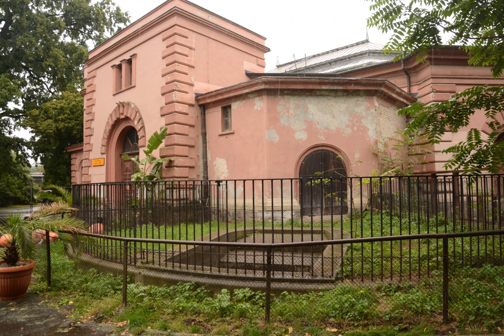 Pachyderm house - empty enclosure