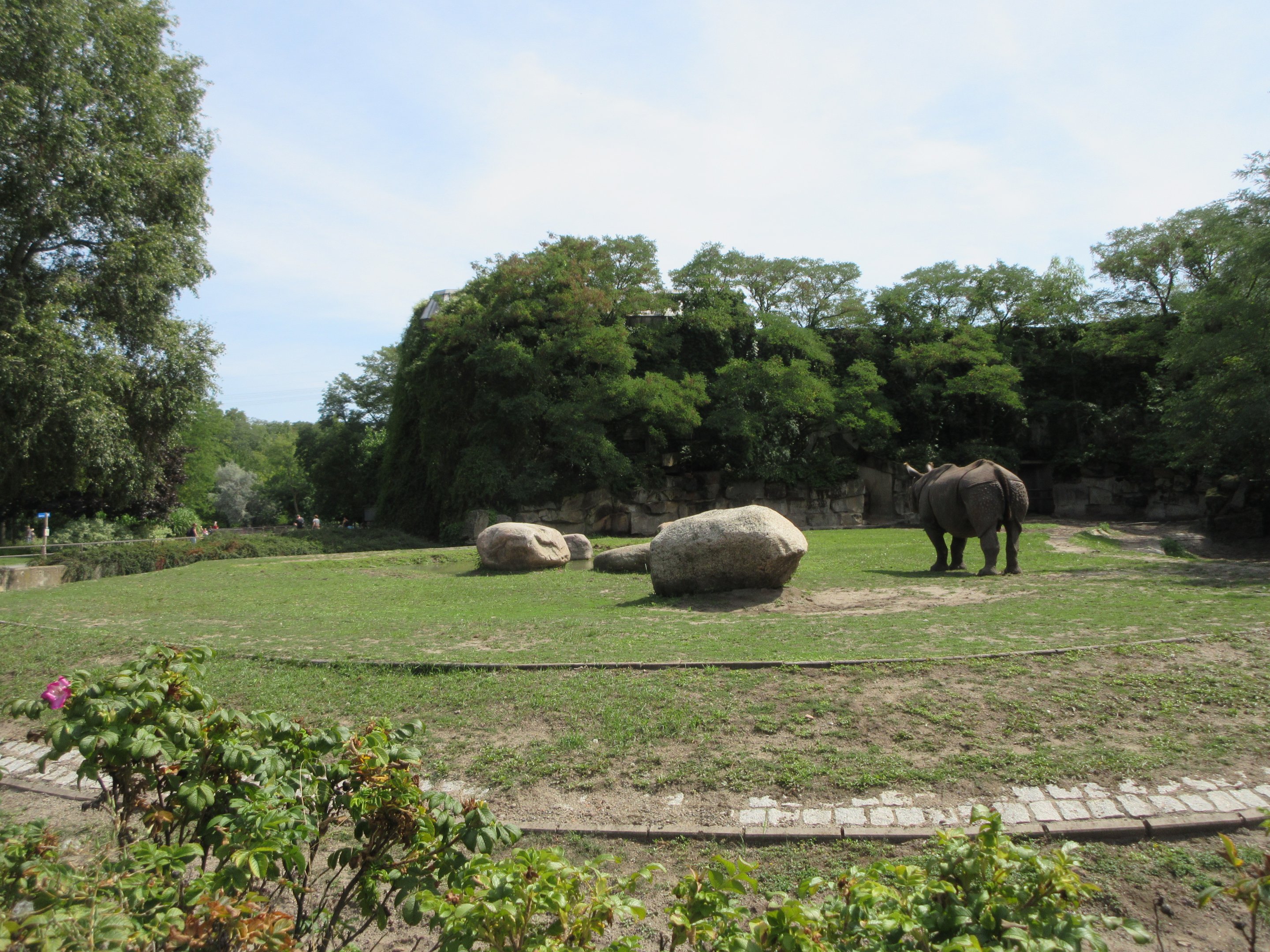 Pachyderm House - Greater One-Horned Rhino Exhibit