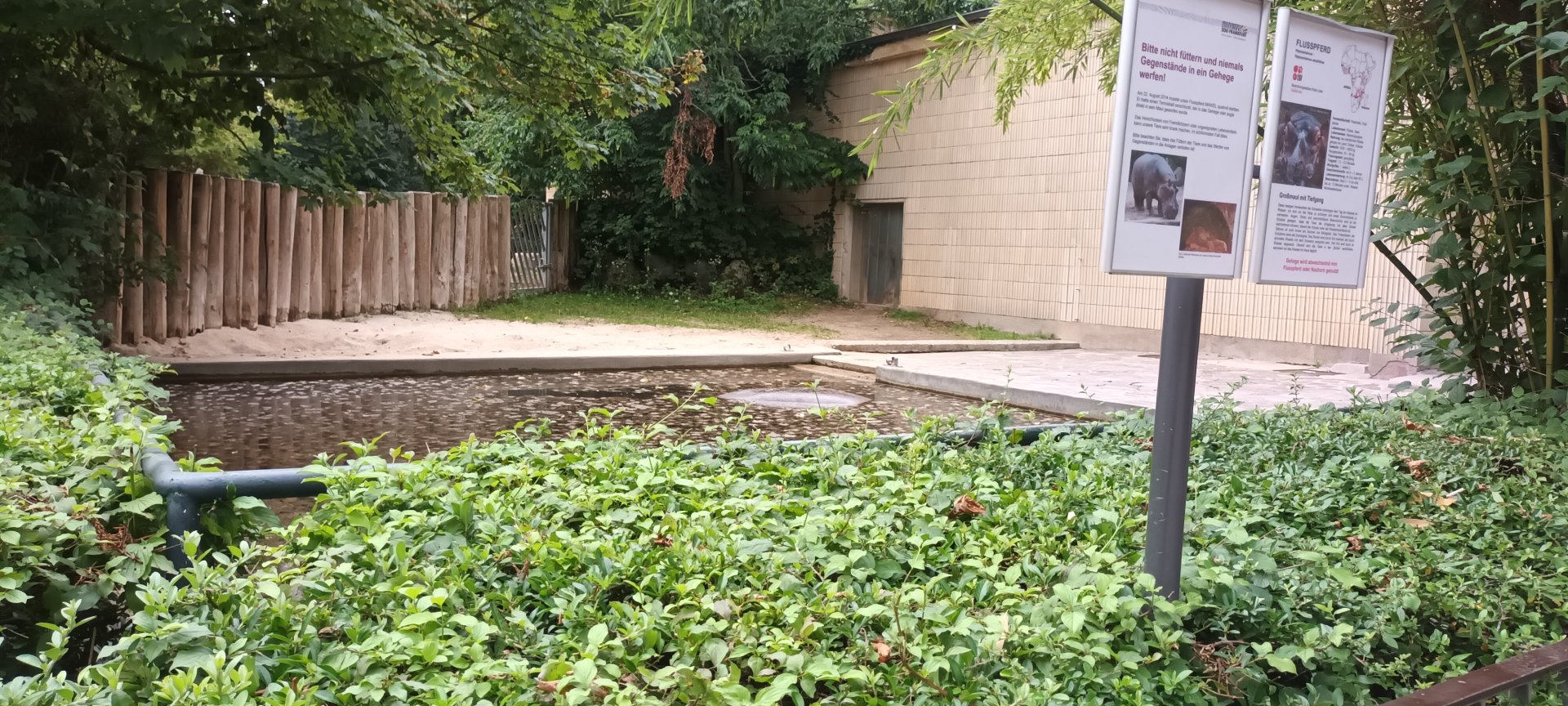Pachyderm House: Hippo Enclosure