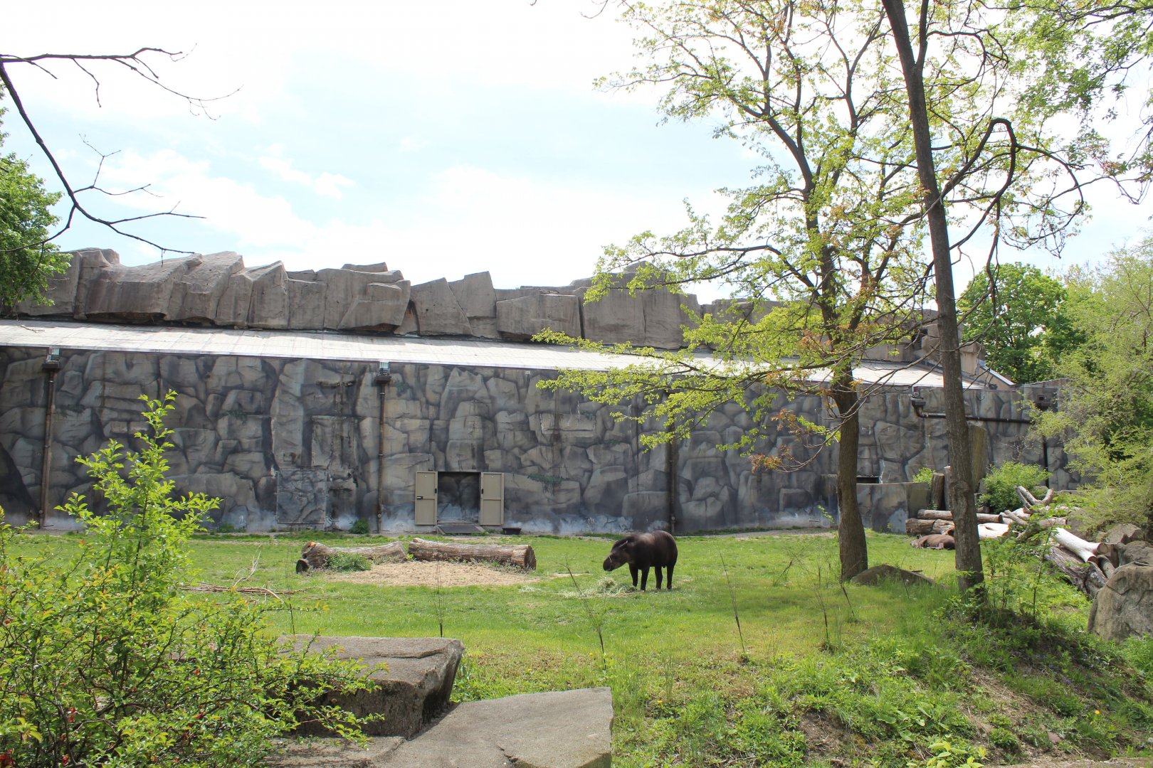 Pachyderm House - Lowland Tapir Exhibit