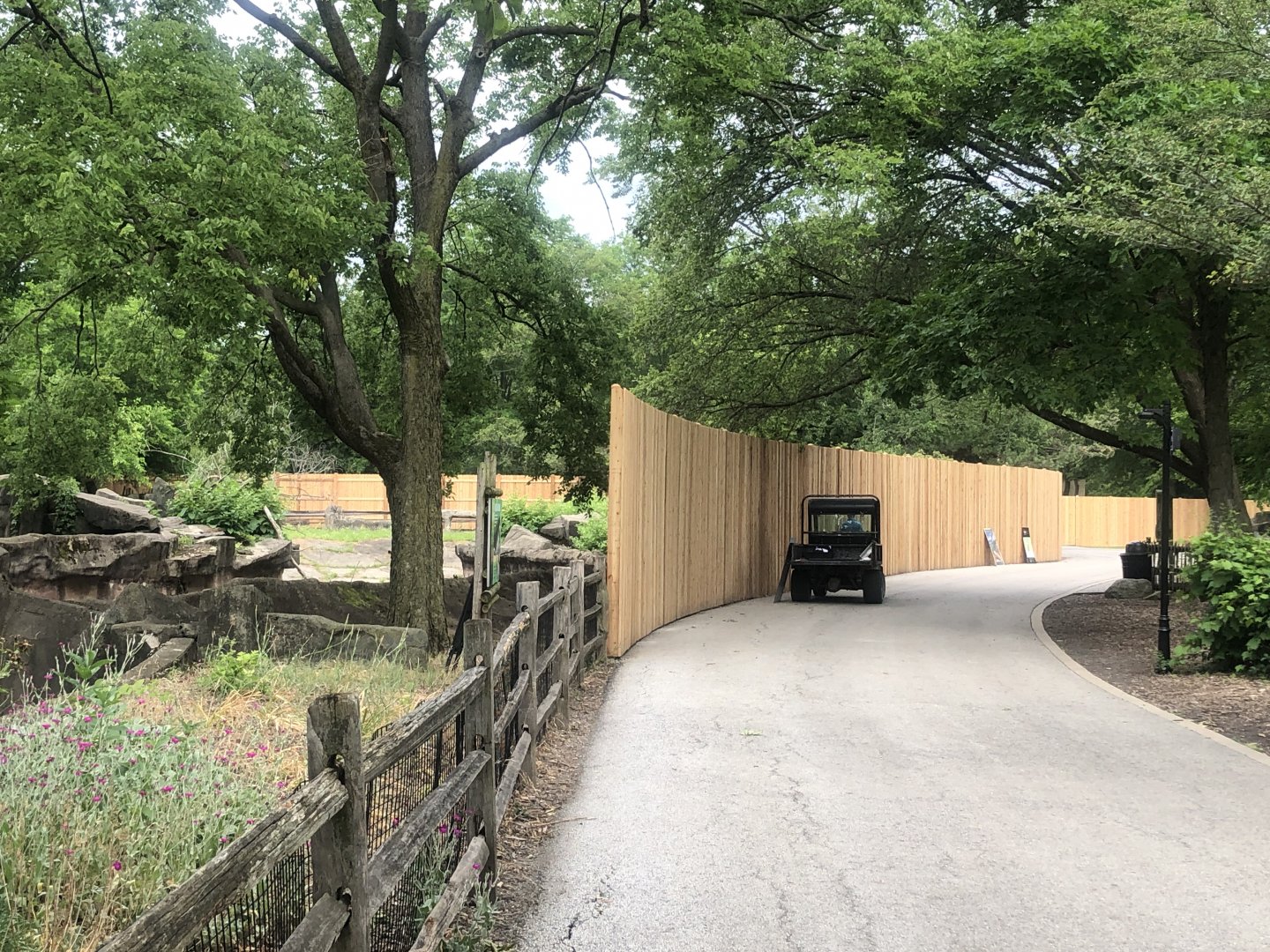 Pachyderm House- new fence