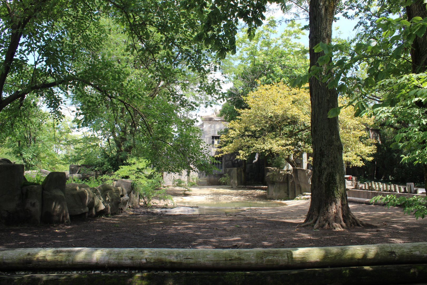 Pachyderm House - Pygmy Hippo Exhibit