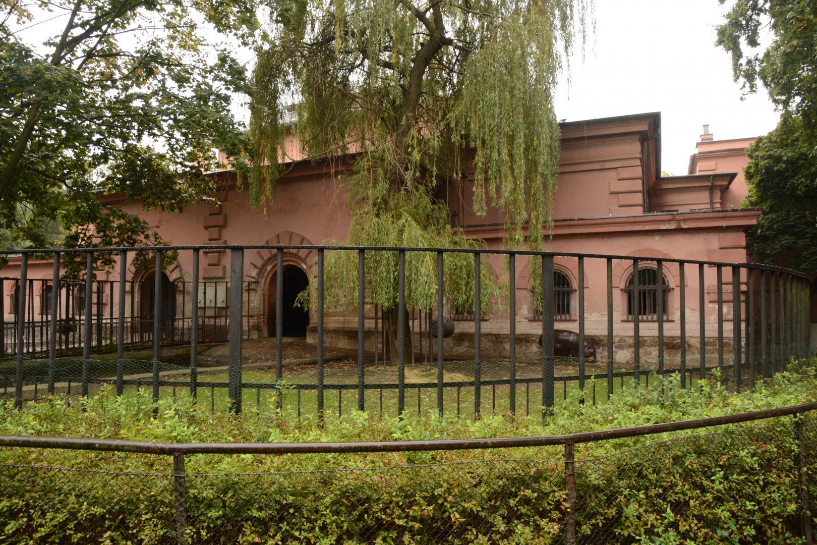 Pachyderm house - Pymgy Hippo enclosure