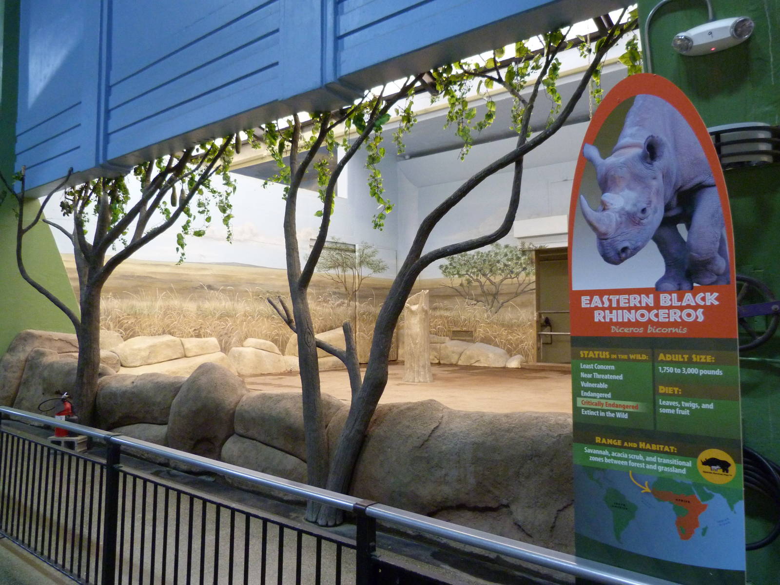 Pachyderm House (Rhino Bedroom) - 5/3/12