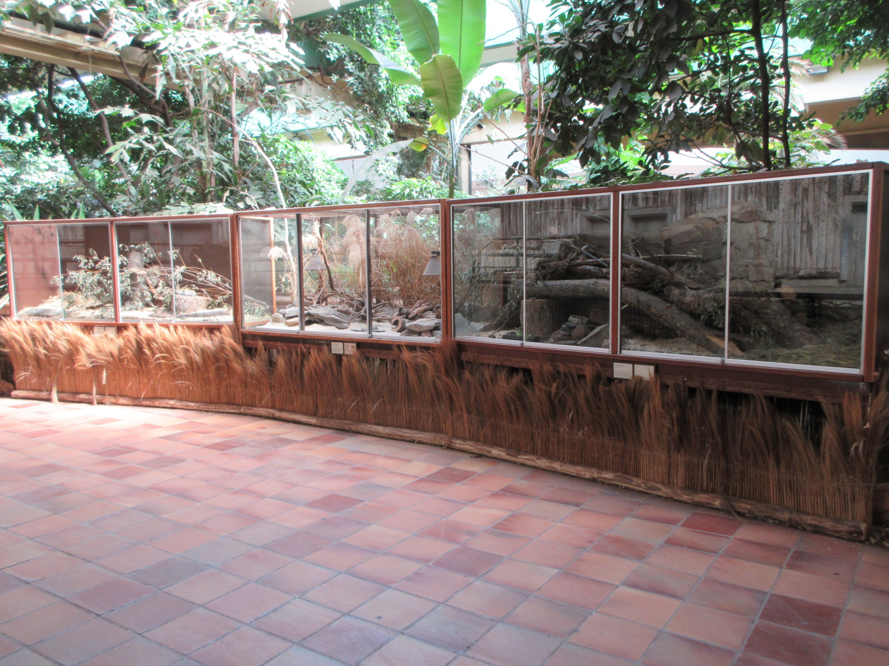 Pachyderm House - Small Mammal Exhibits (3 species)