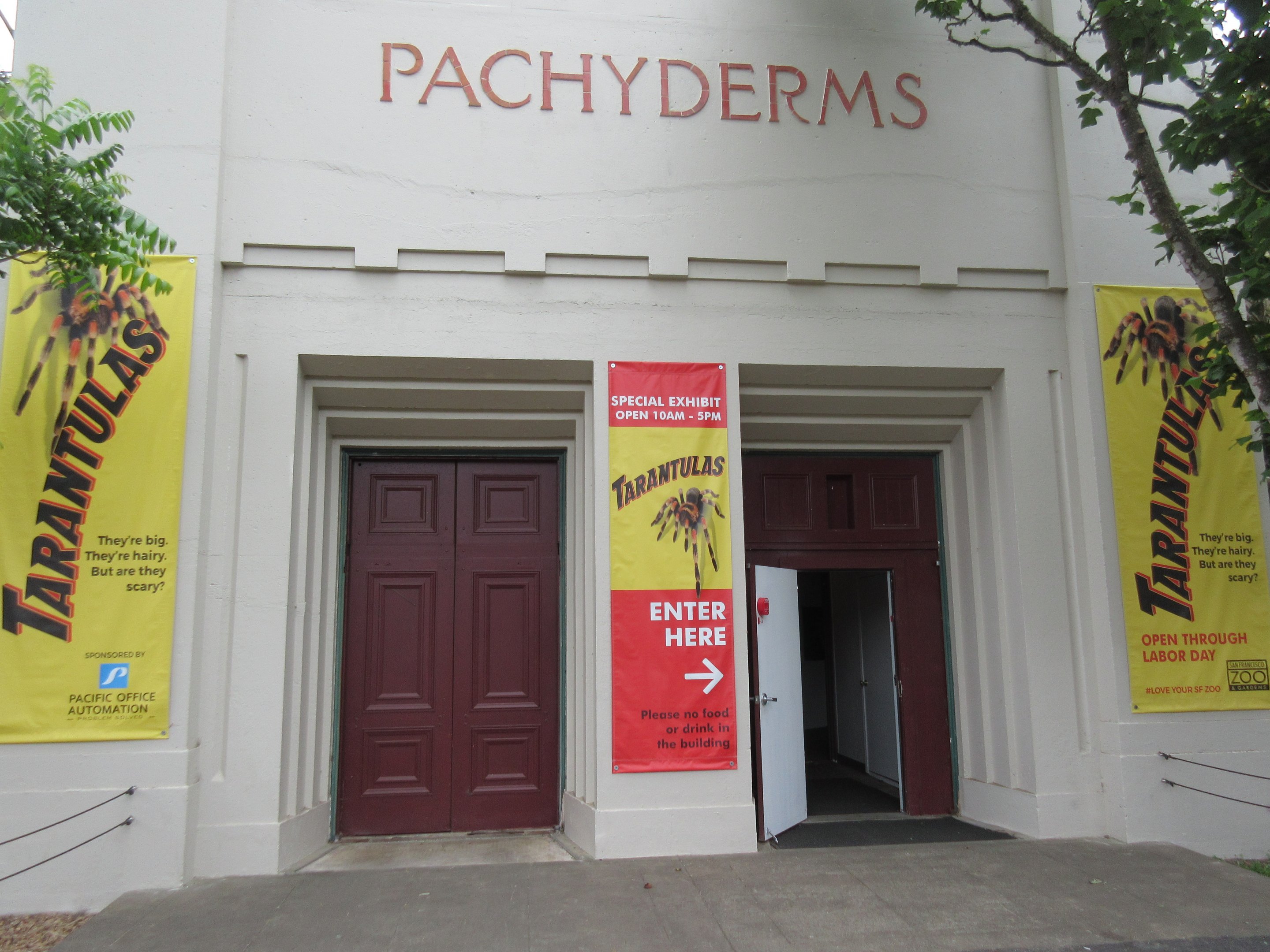 Pachyderm House - with a seasonal Tarantula display