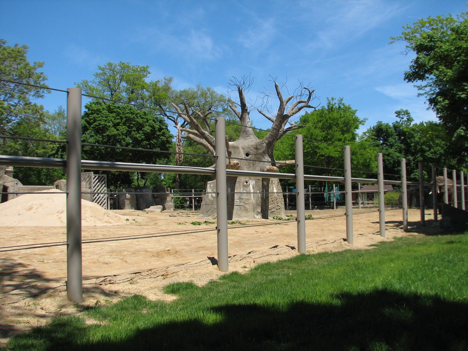 Pachyderms - African Elephant Exhibit