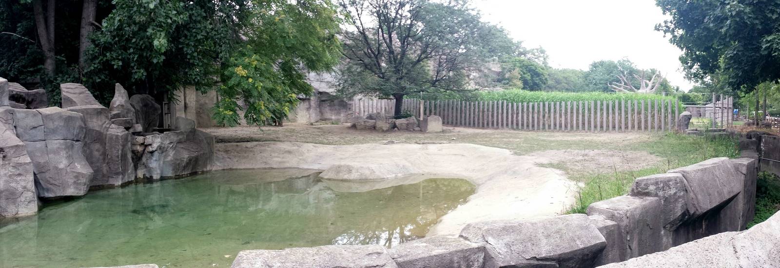 Pachyderms - Eastern Black Rhinoceros Middle Exhibit