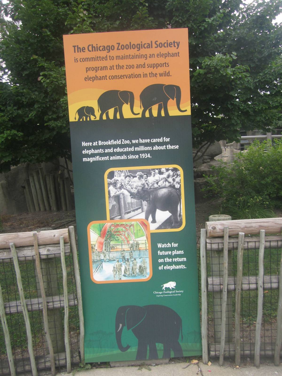 Pachyderms - Future Elephant Plans