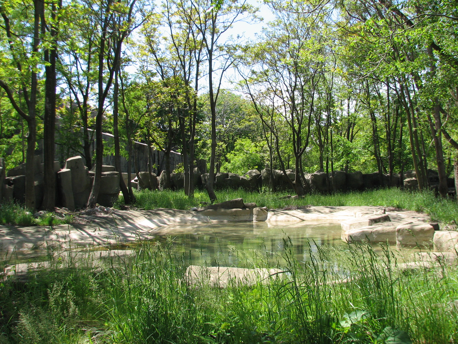 Pachyderms - Lowland Tapir Exhibit