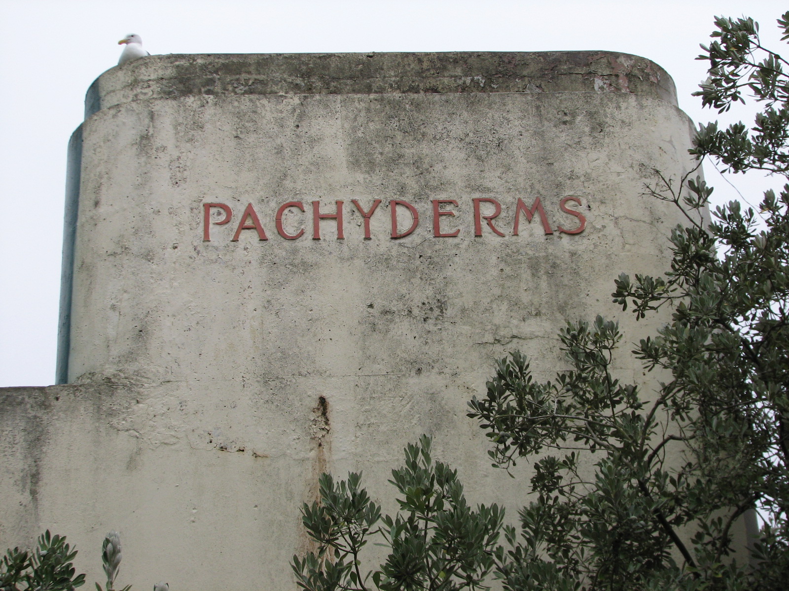 Pachyderms Sign