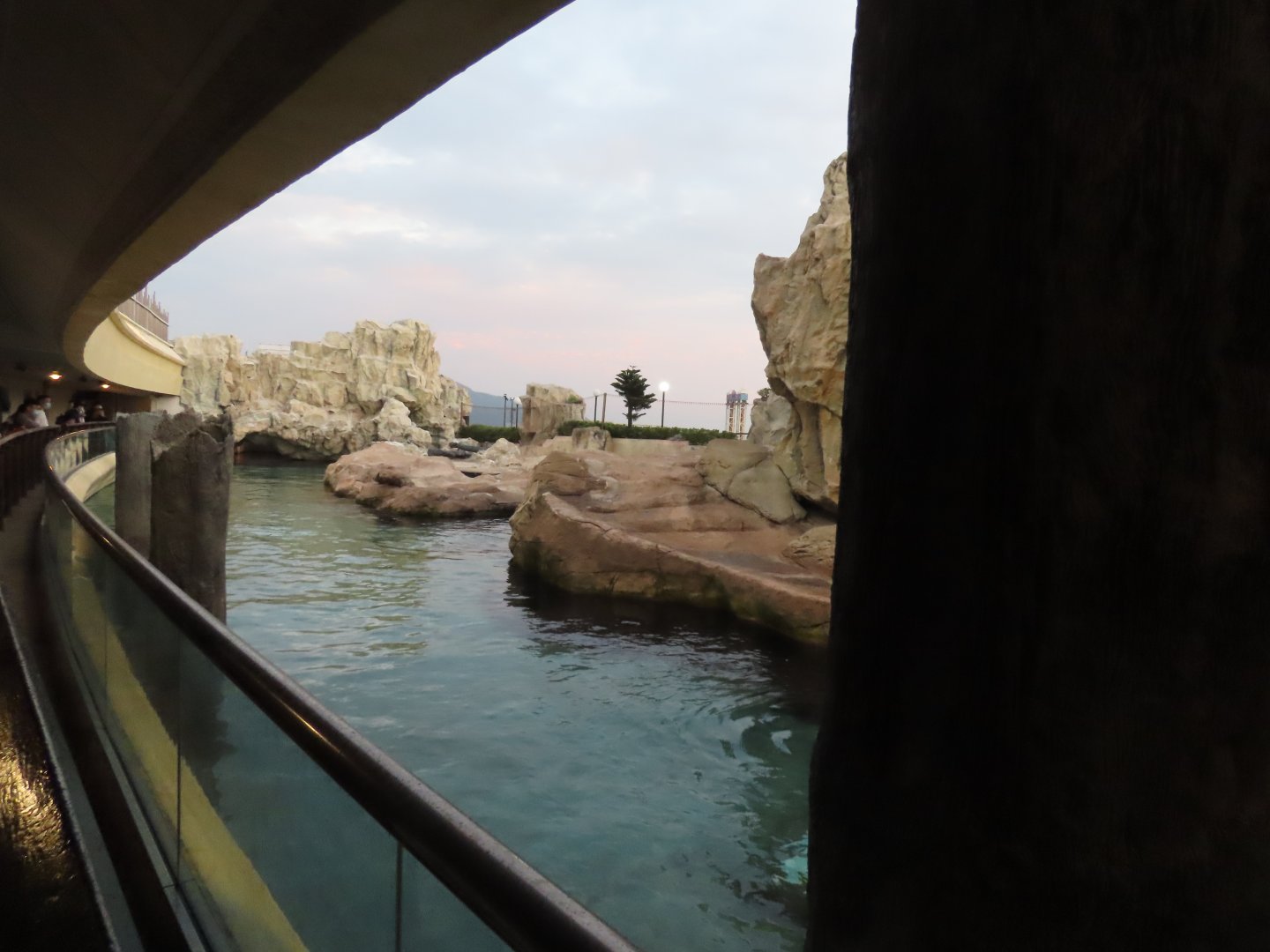 "Pacific coast" exhibit