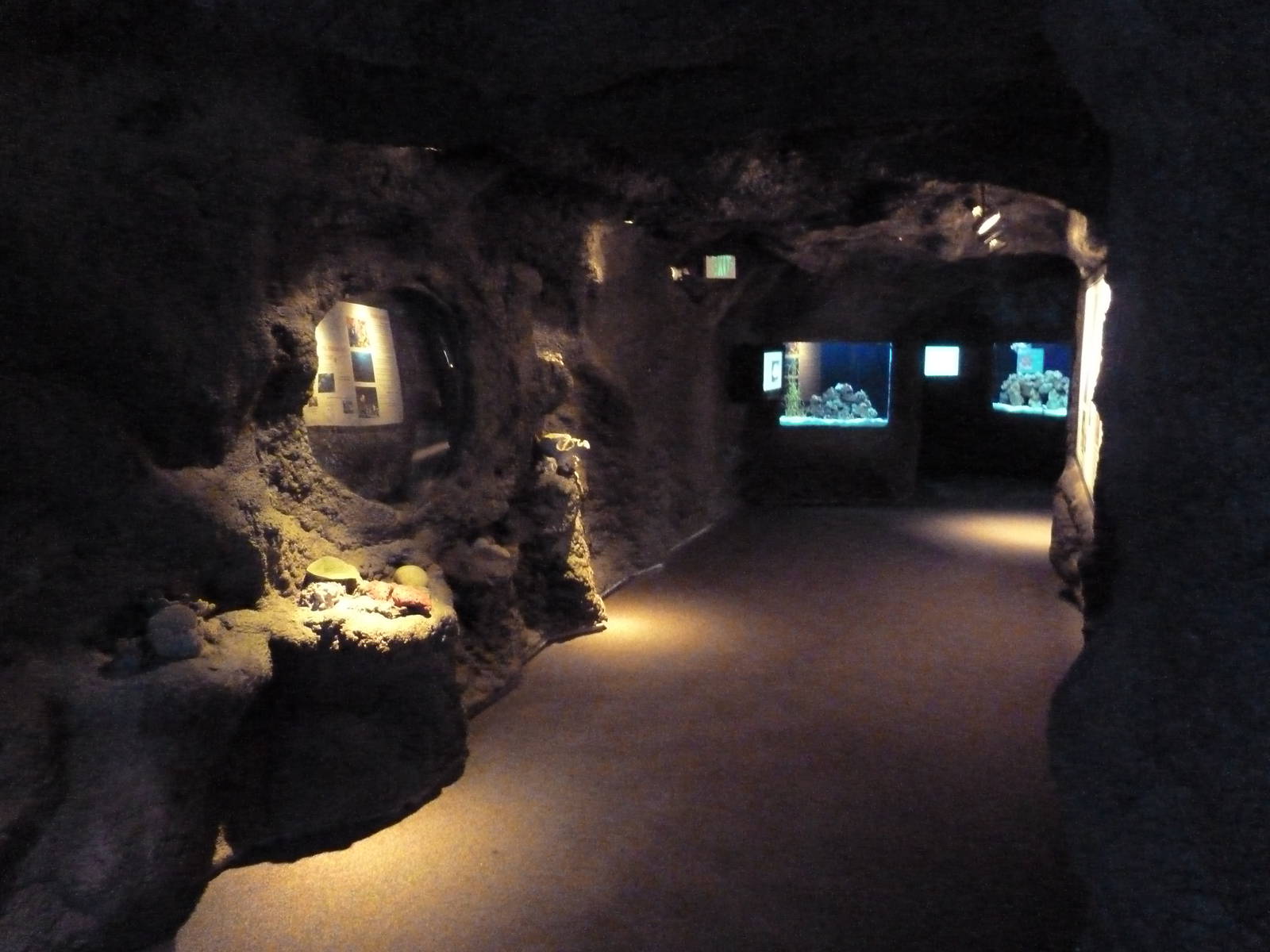 Pacific Coral Reef Cave