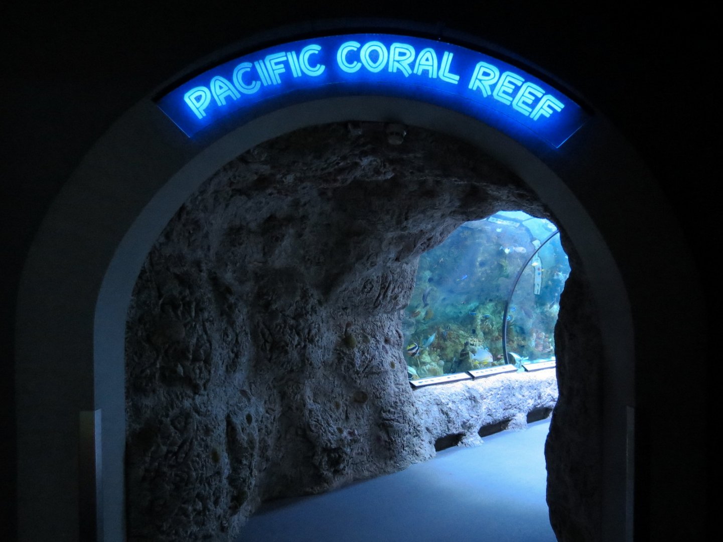 Pacific Coral Reef Exhibit