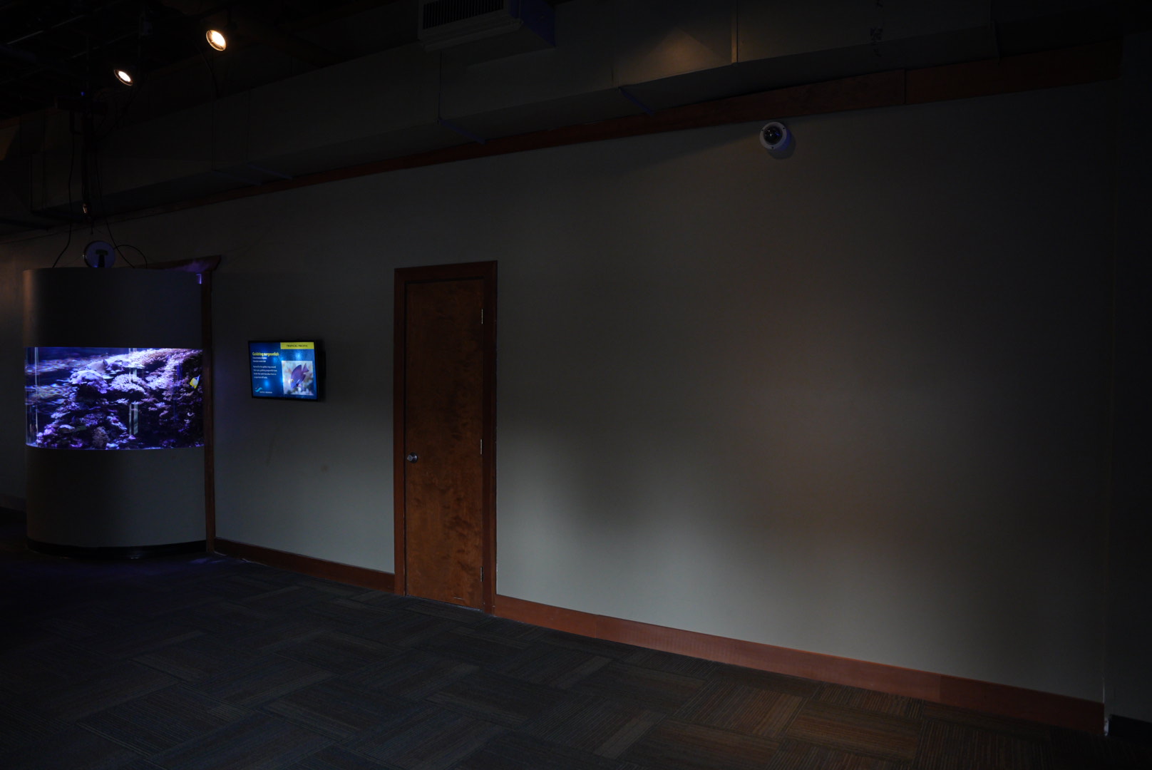 Pacific Coral Reef Gallery (Last Look)