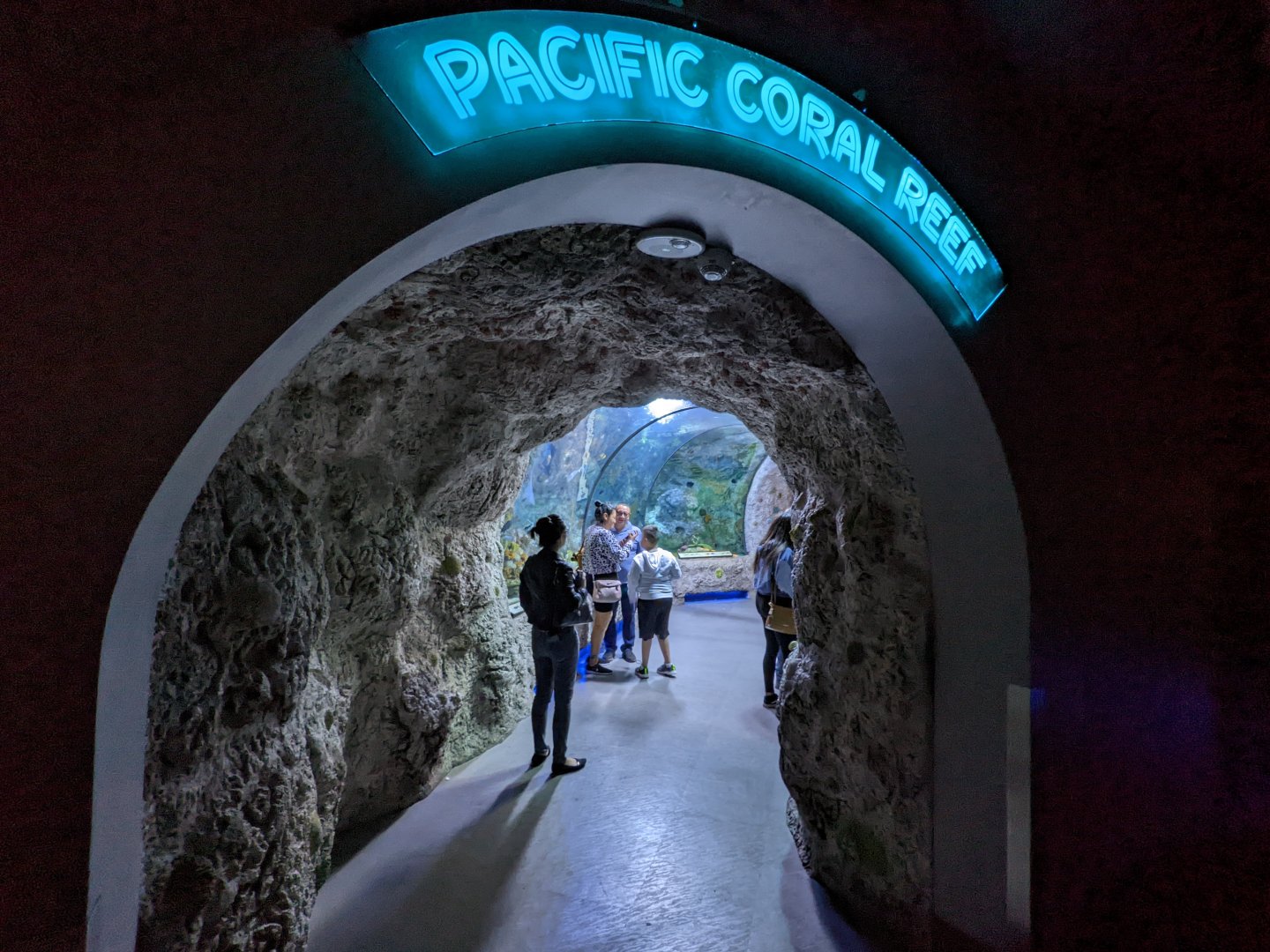 Pacific coral reef tunnel entrance