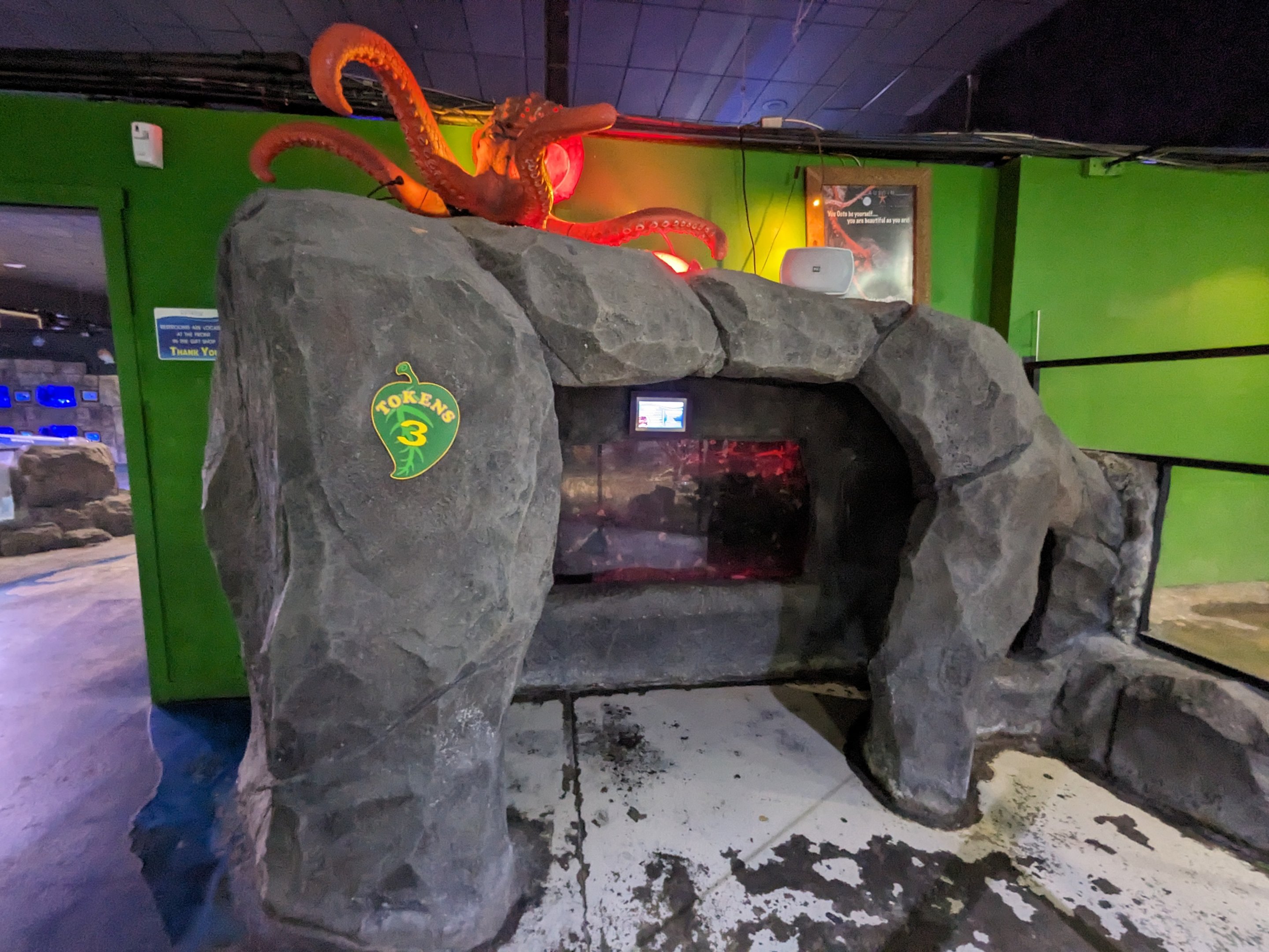 Pacific giant octopus