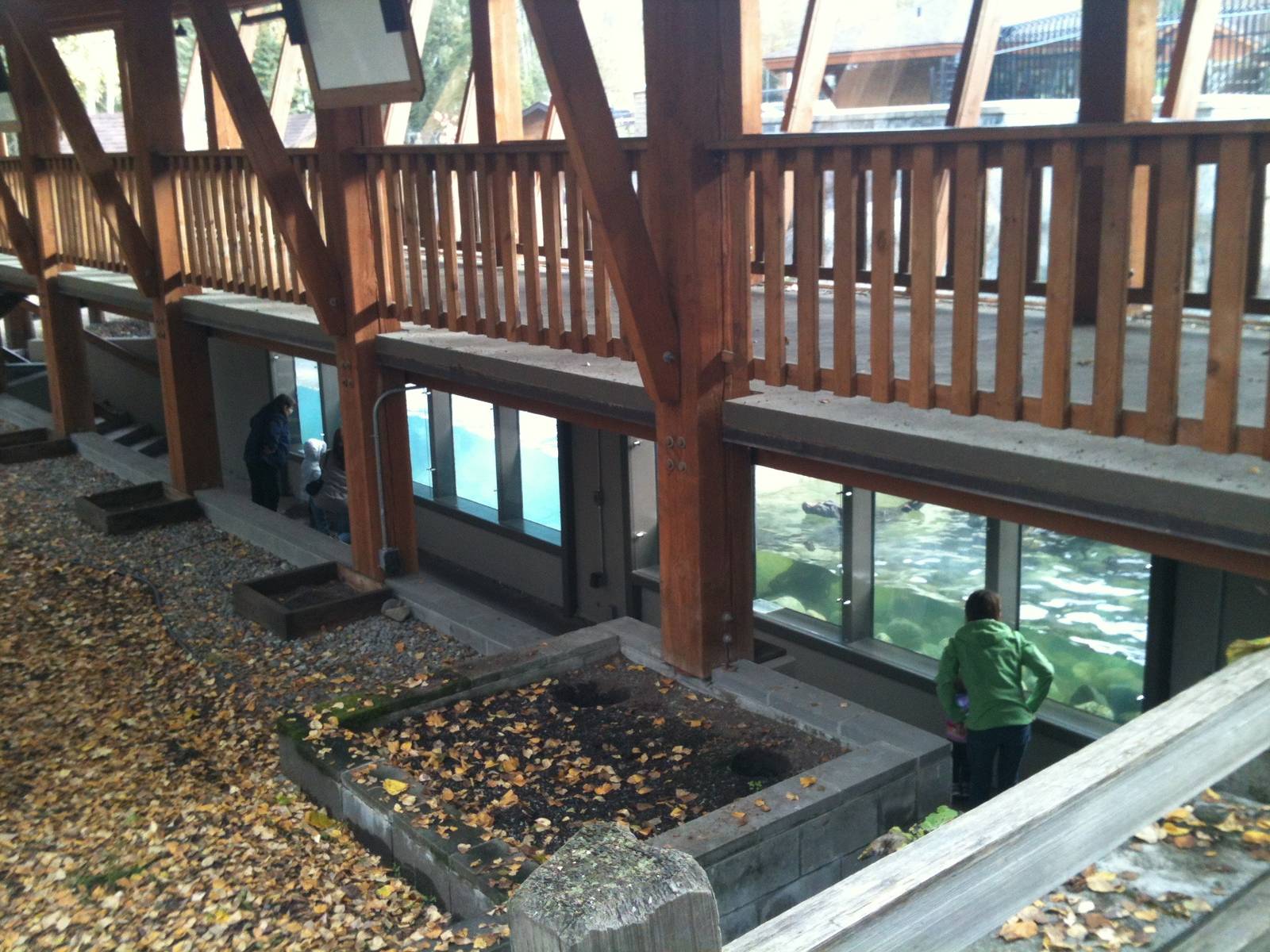 Pacific Harbor Seal and Northern River Otter Exhibits