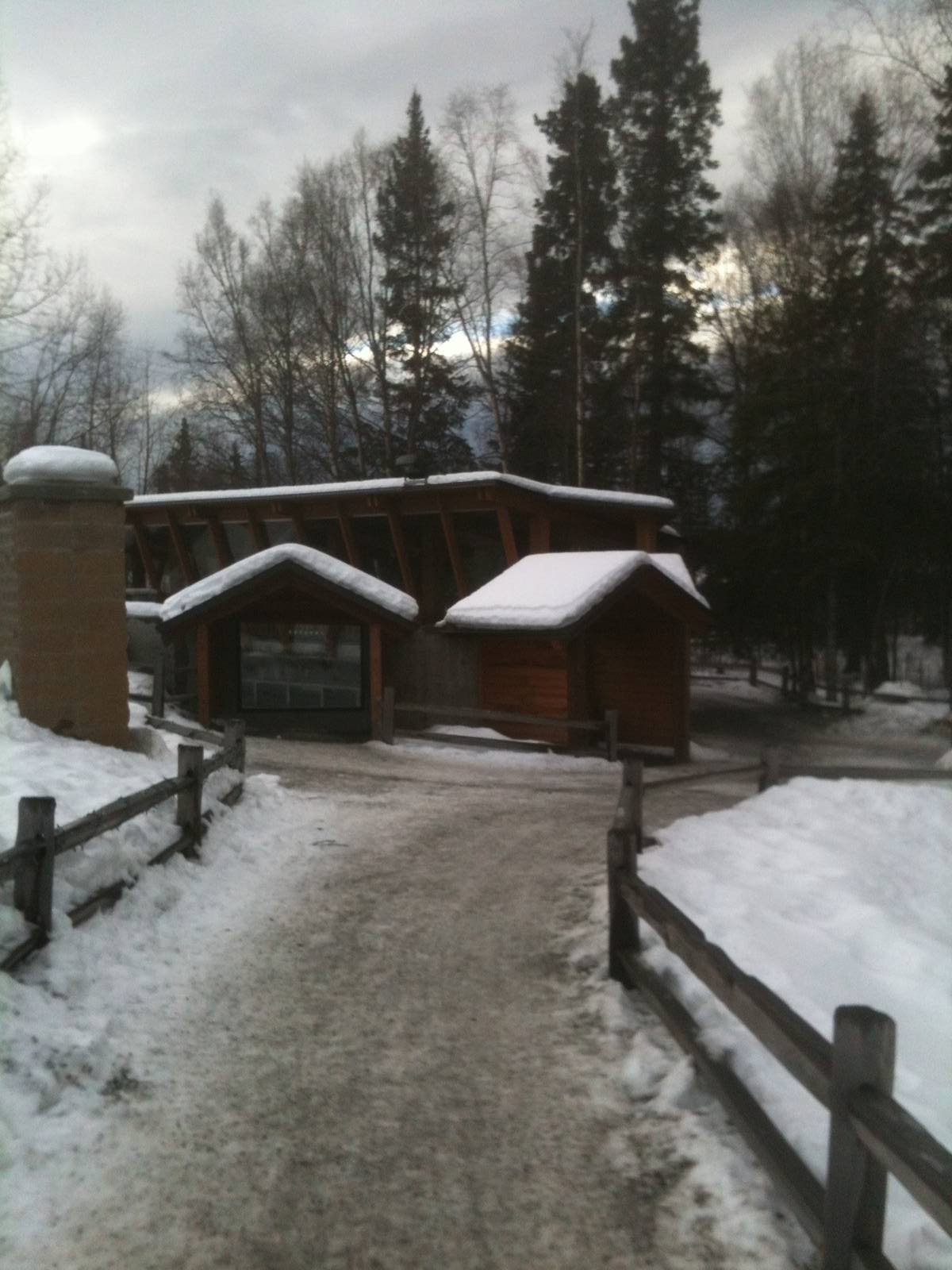 Pacific Harbor Seal and River Otter Exhibit