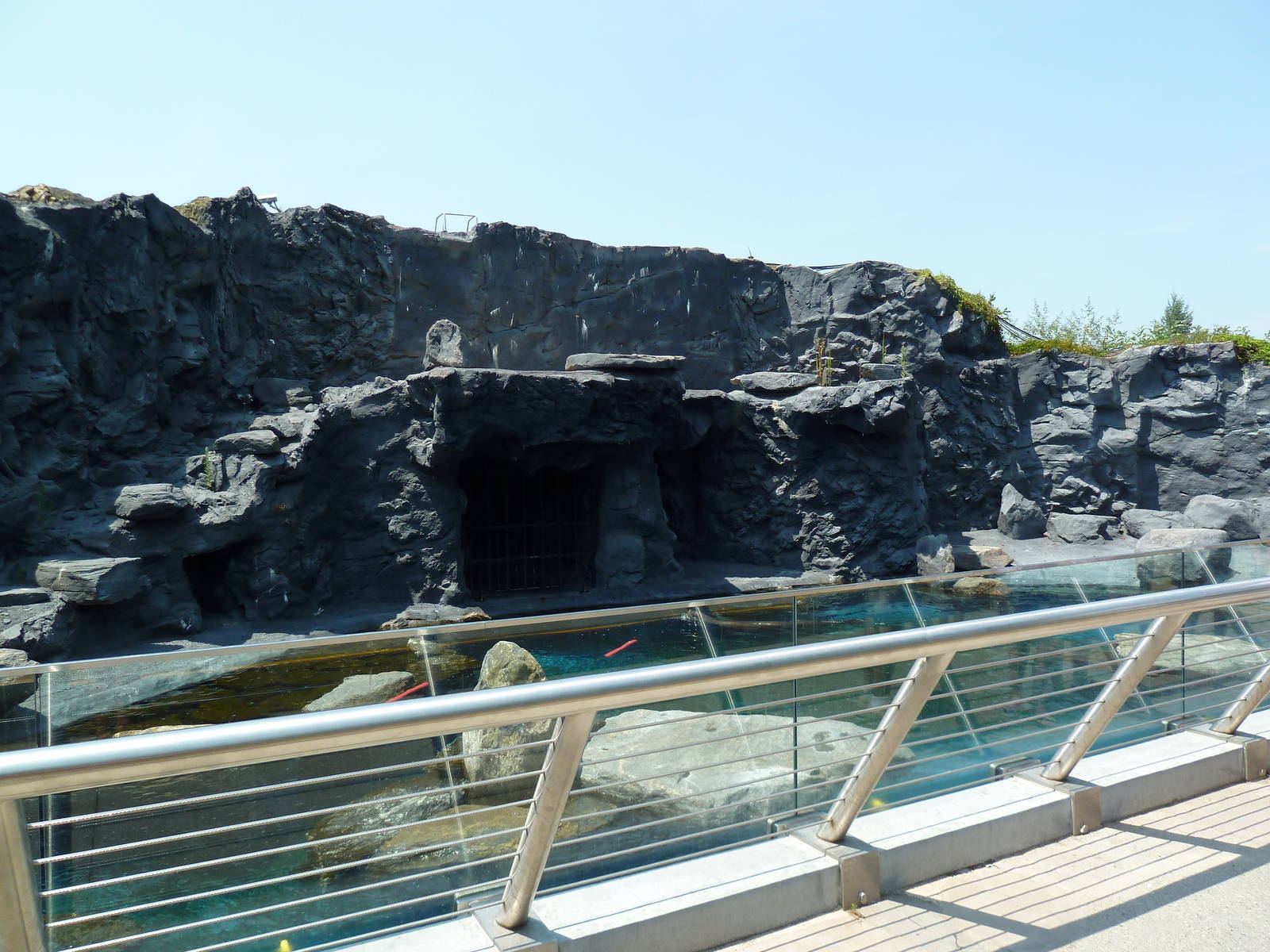 Pacific Northwest - Steller's Sea Lion Exhibit