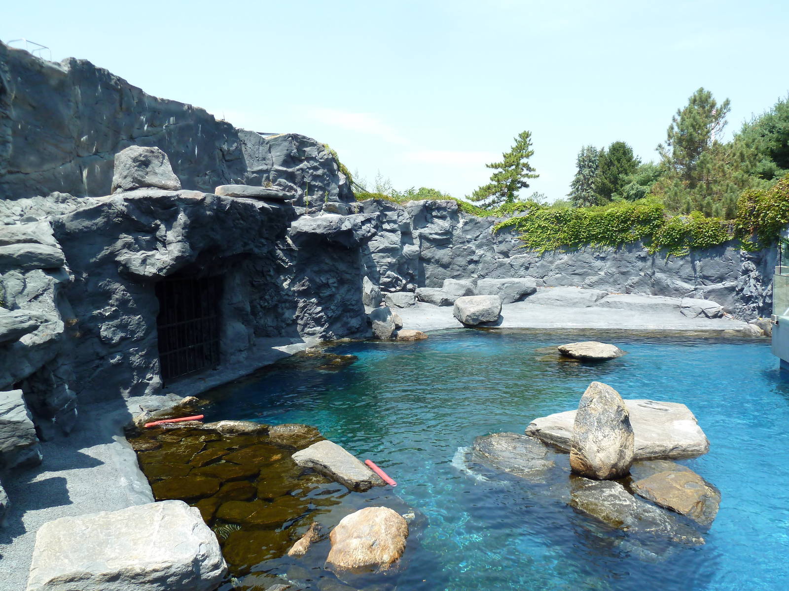 Pacific Northwest - Steller's Sea Lion Exhibit
