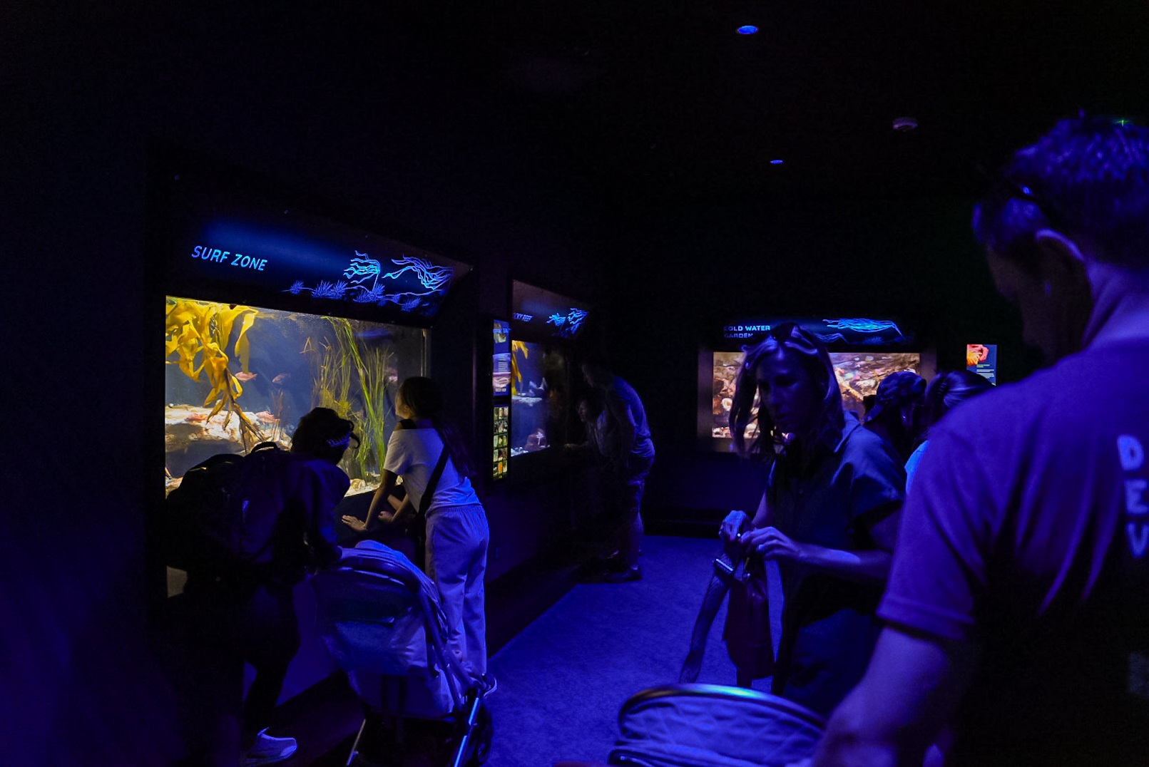 "Pacific Northwest" Tanks