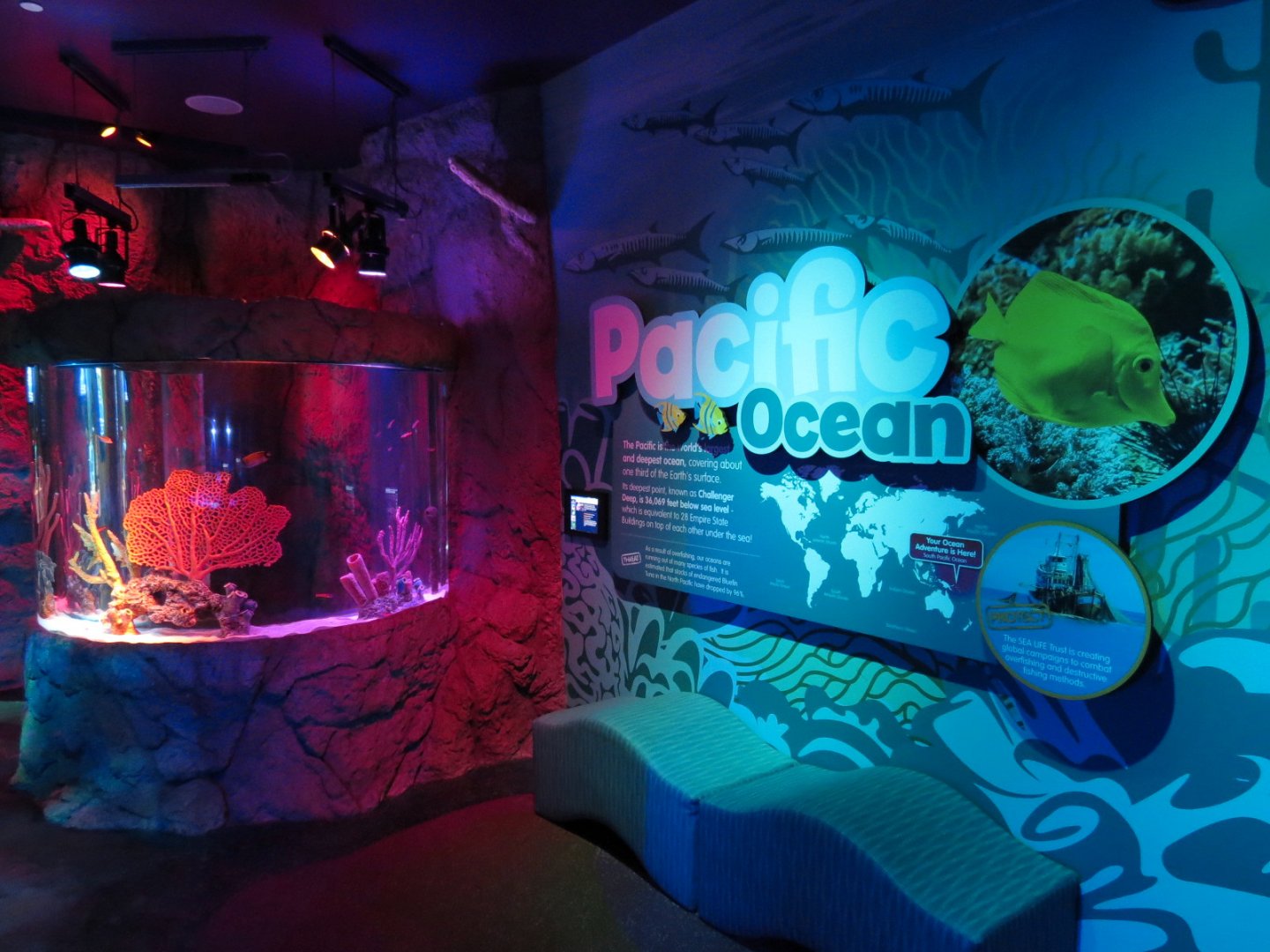 Pacific Ocean Exhibits