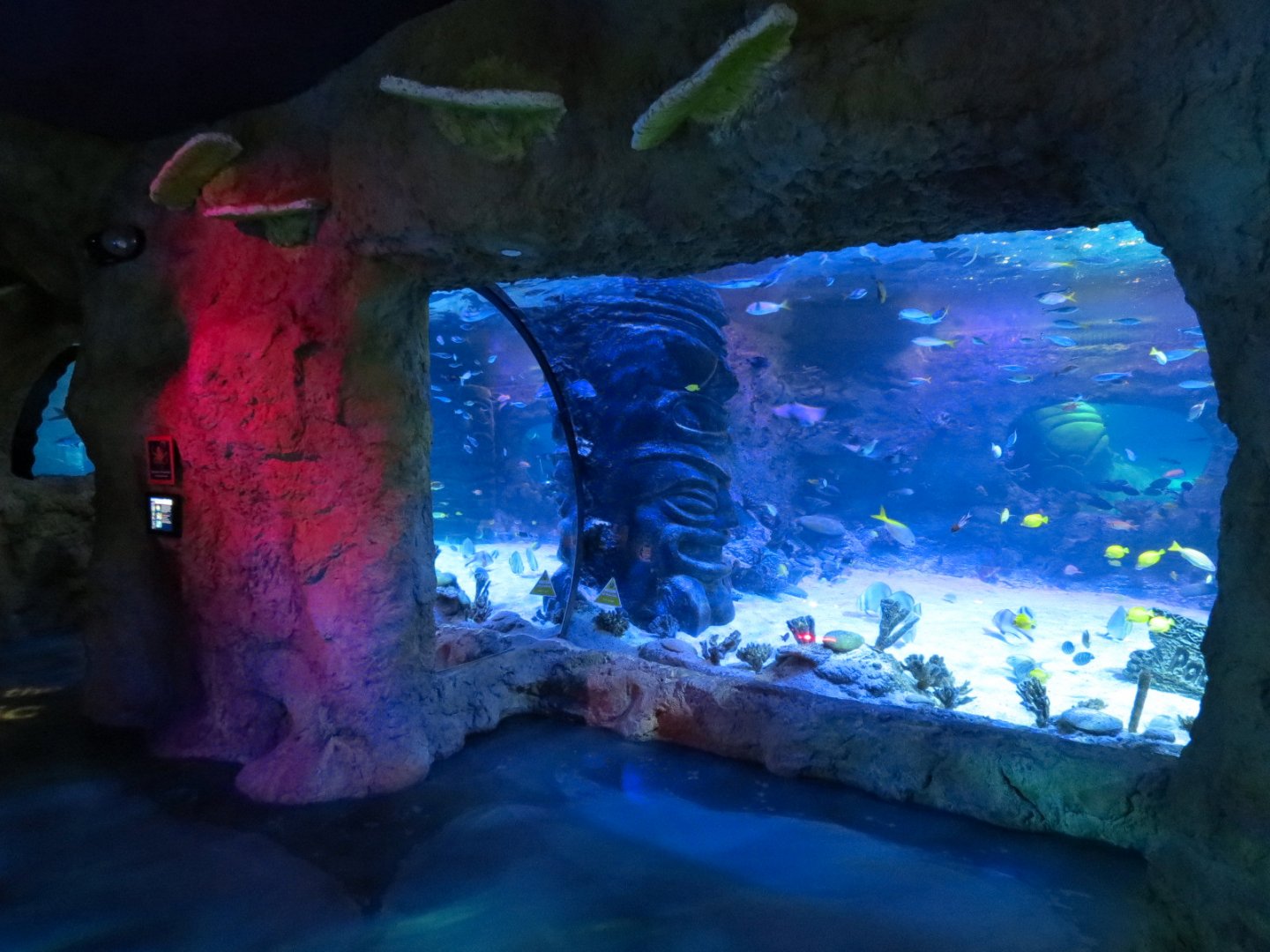Pacific Ocean Exhibits