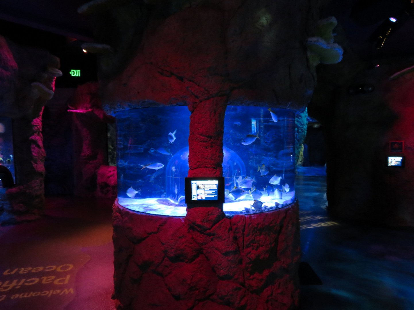 Pacific Ocean Exhibits
