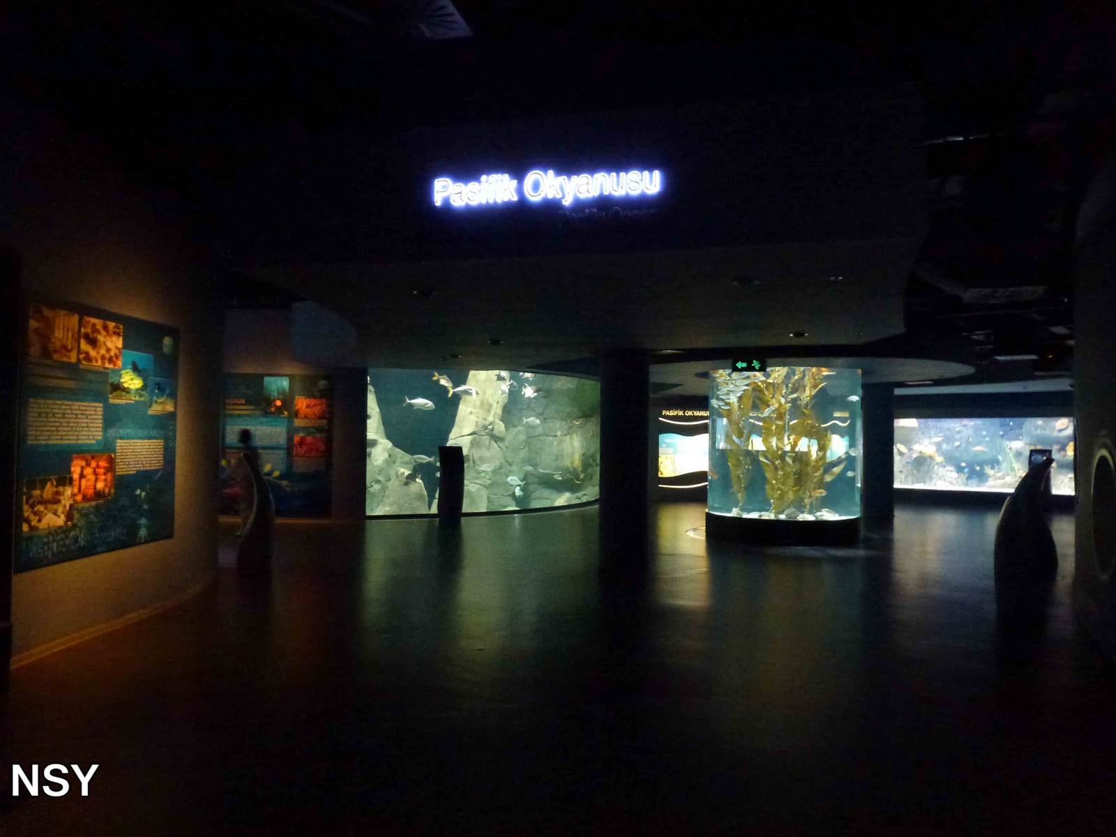 Pacific ocean, June 2013.