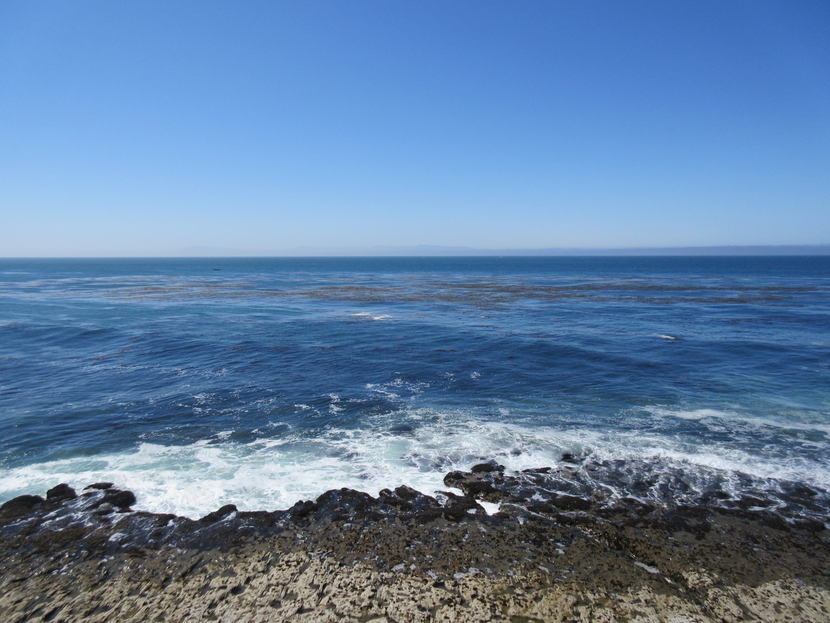 Pacific Ocean (right outside aquarium)