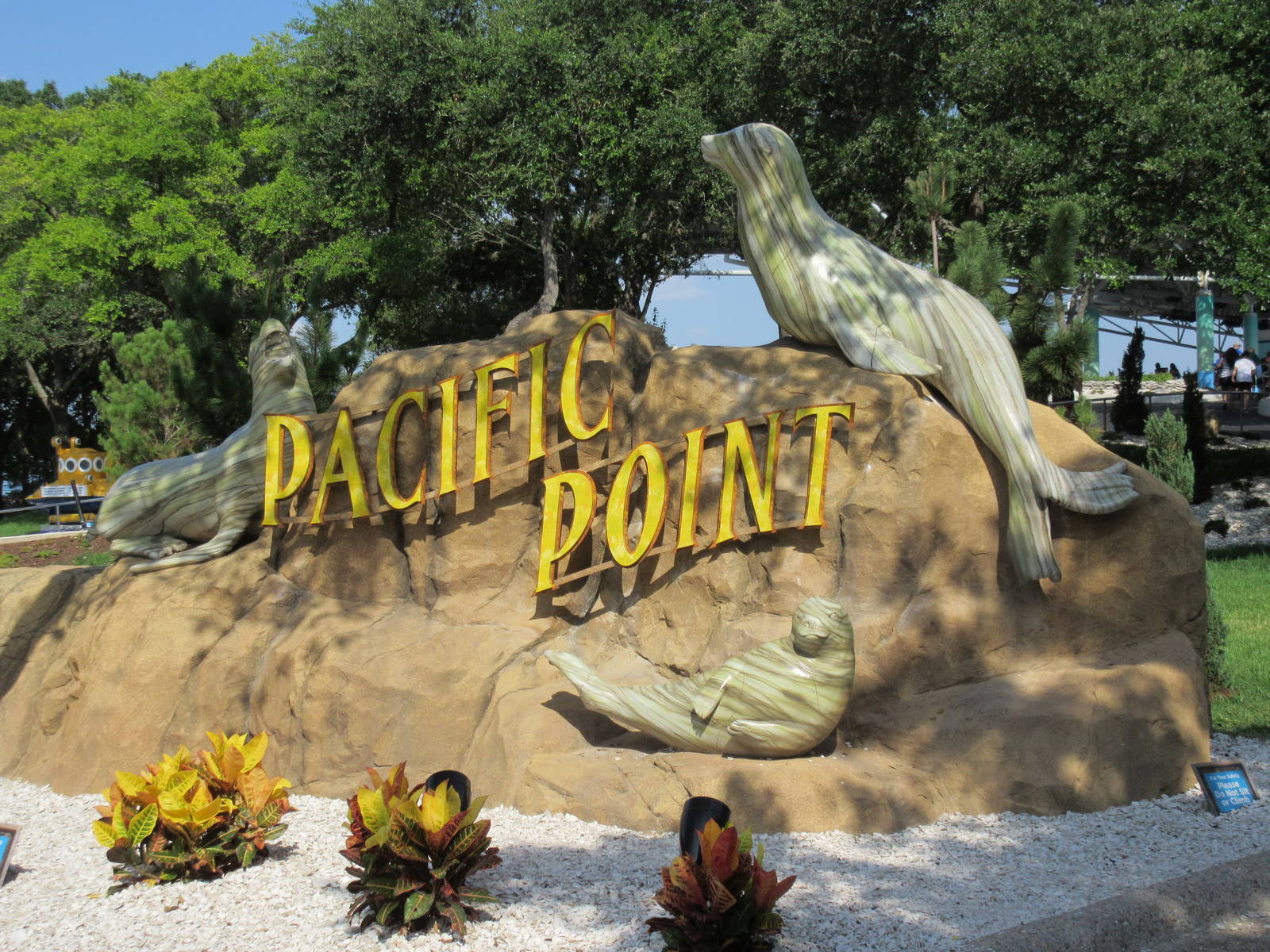 Pacific Point (New in 2015) - California Sea Lions + Harbor Seals