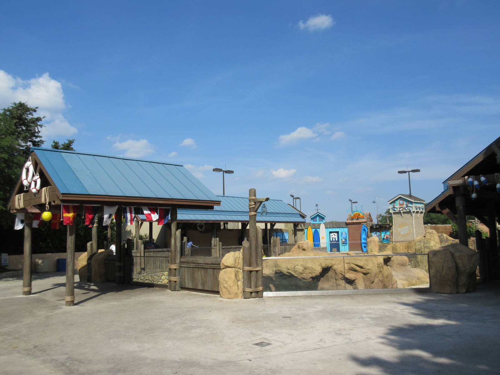 Pacific Point (New in 2015) - California Sea Lions + Harbor Seals