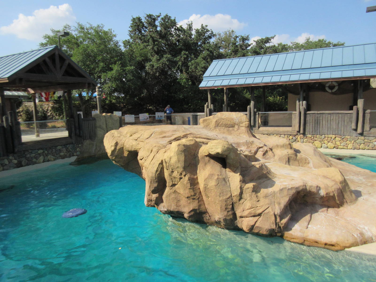 Pacific Point (New in 2015) - California Sea Lions + Harbor Seals