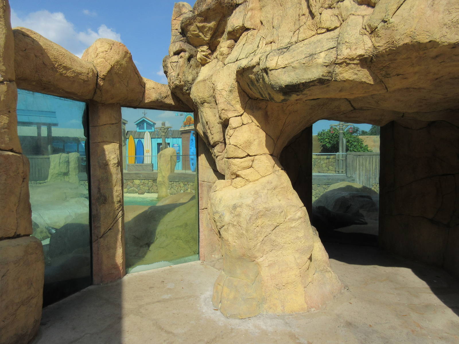 Pacific Point (New in 2015) - California Sea Lions + Harbor Seals