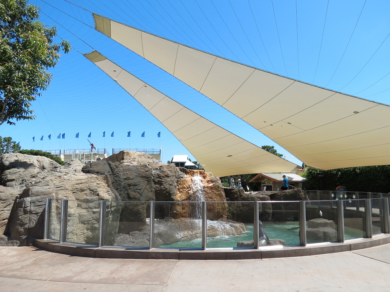 Pacific Point - Pinniped Exhibit 1