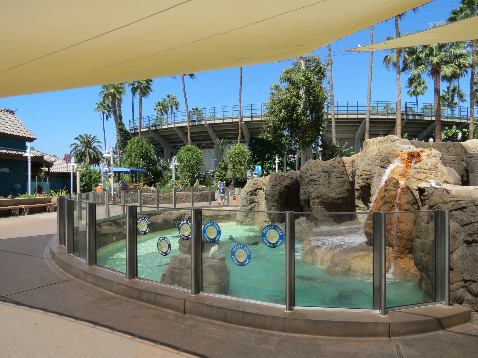 Pacific Point - Pinniped Exhibit 1