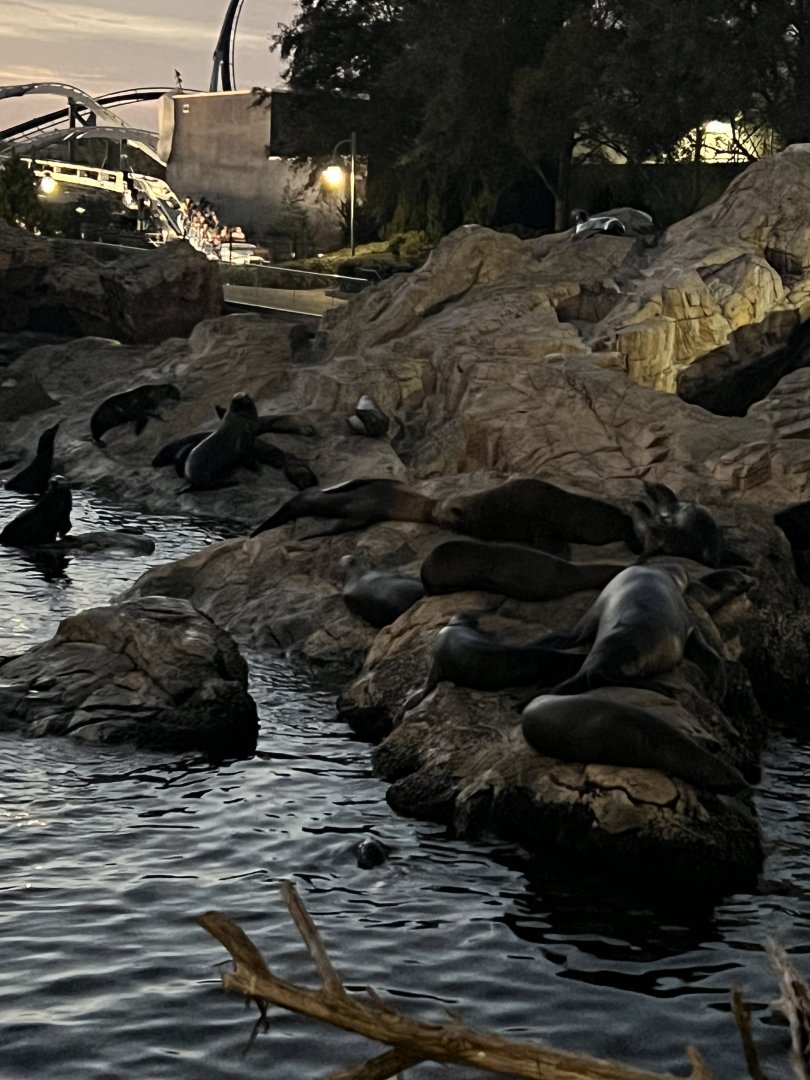 Pacific Point Preserve