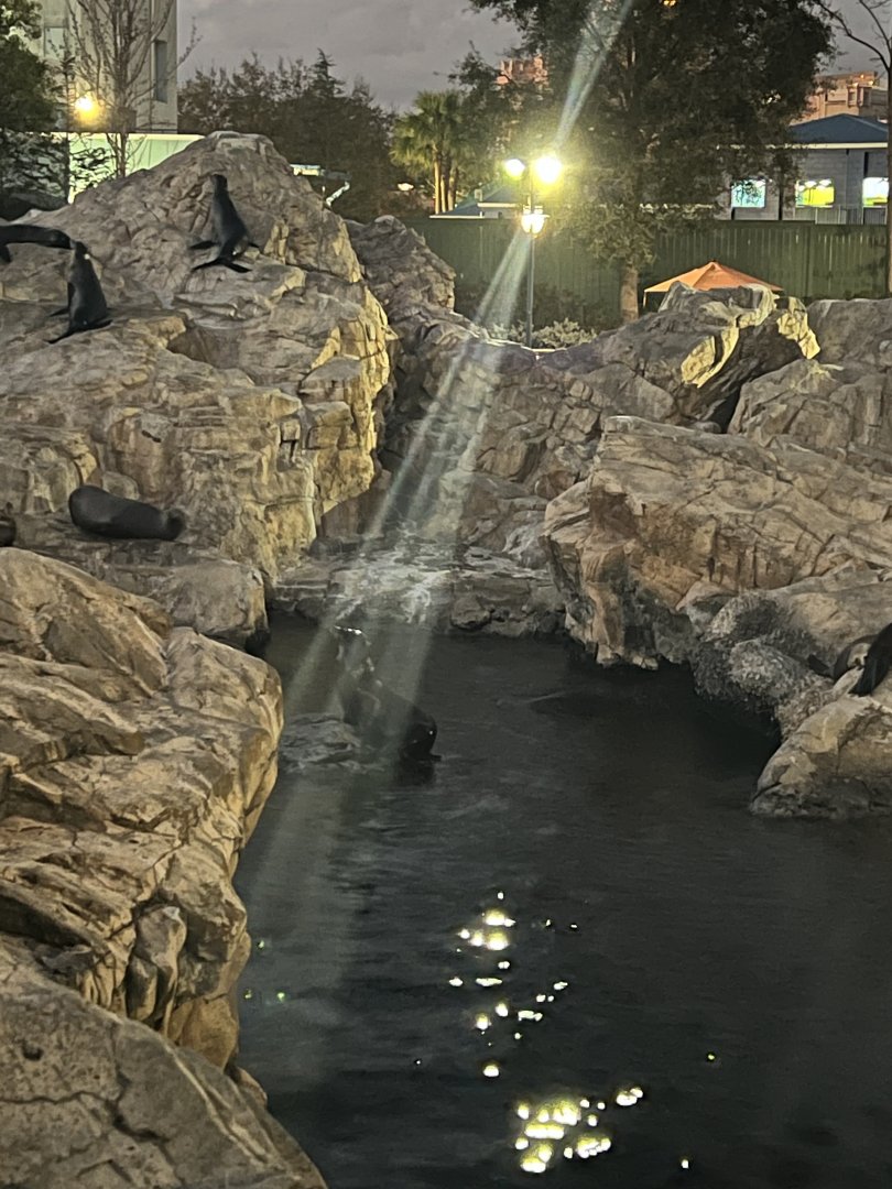 Pacific Point Preserve