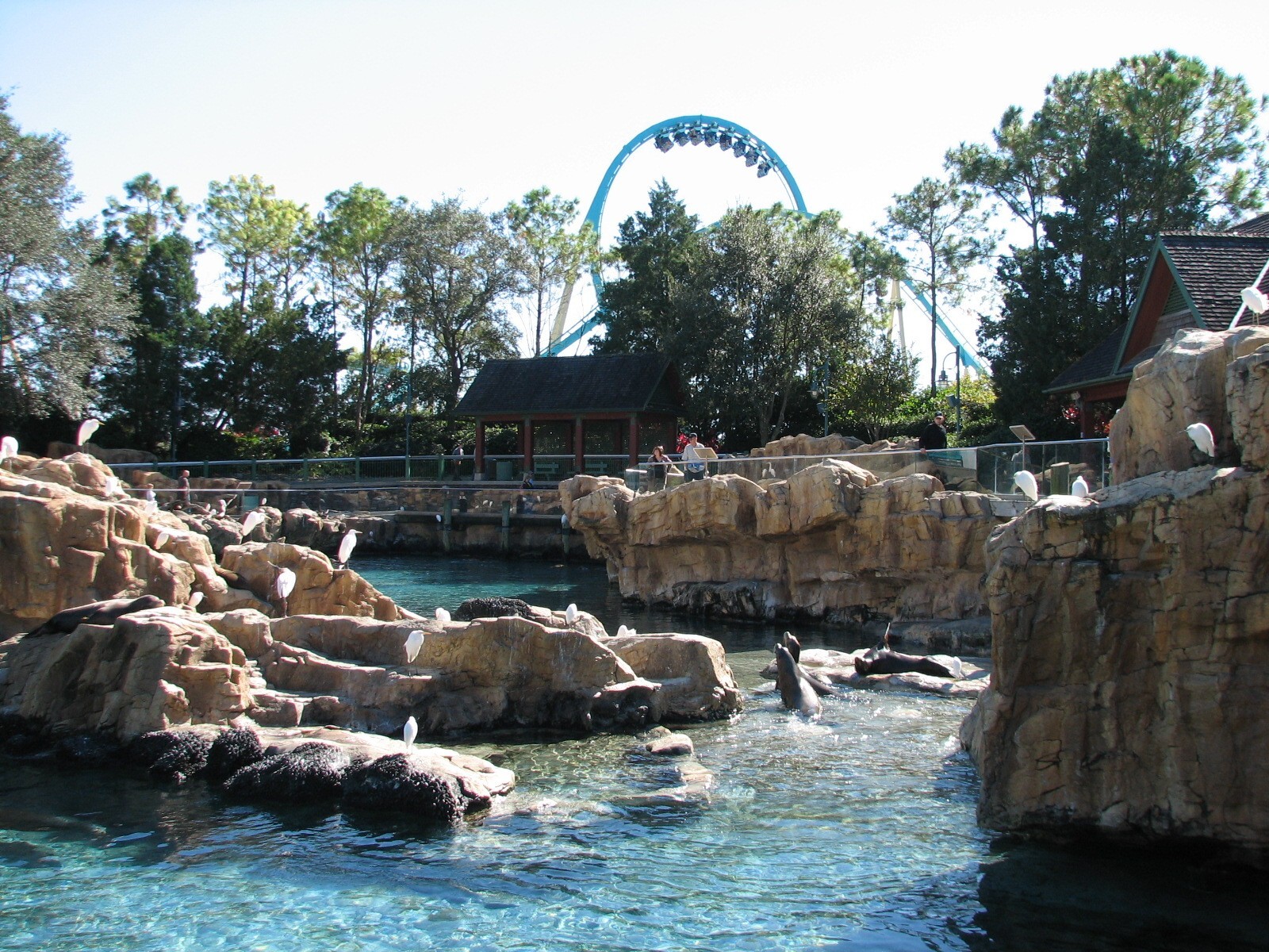 Pacific Point Preserve