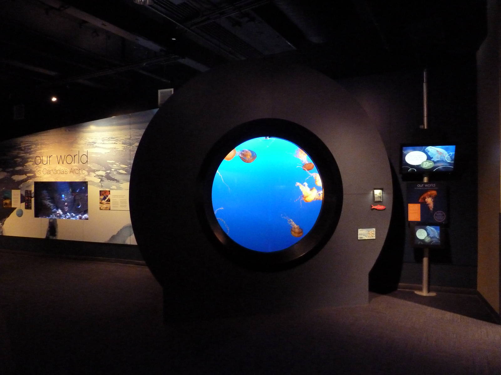 Pacific Sea Nettle Exhibit