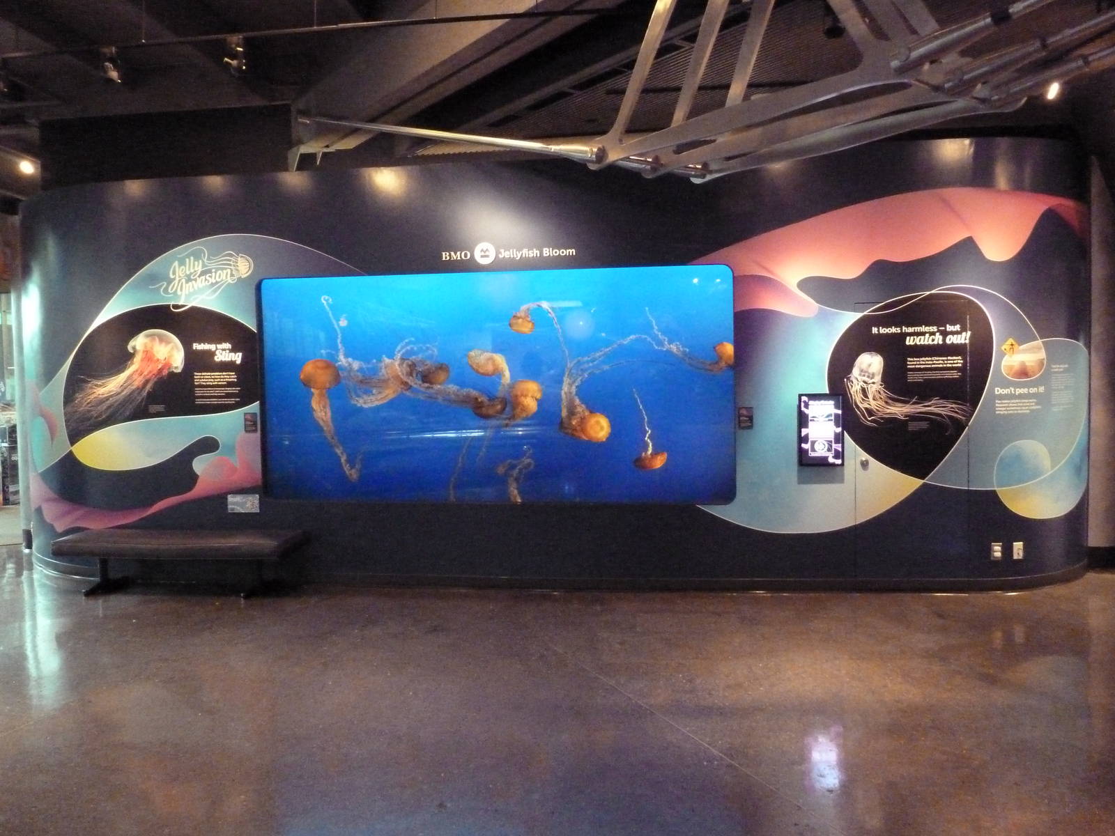 Pacific Sea Nettle Exhibit