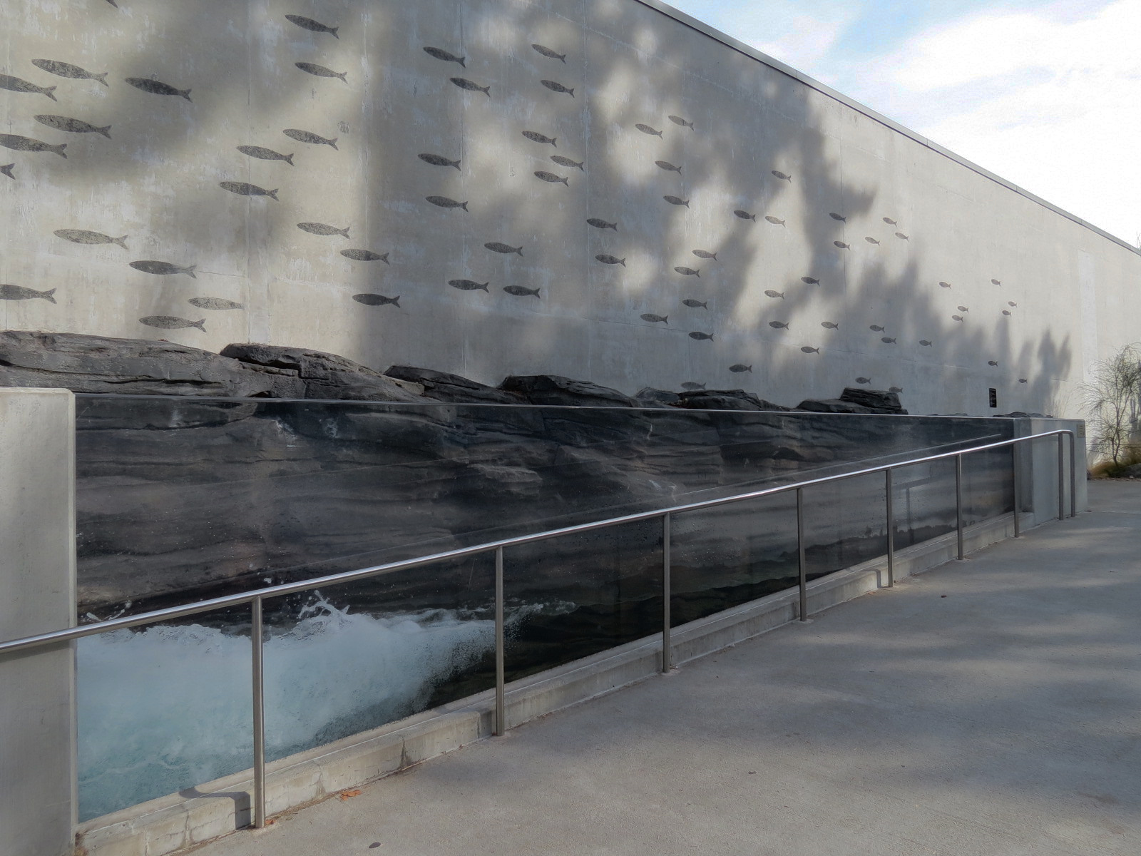 Pacific Seas Aquarium - Exterior - Wave Pool