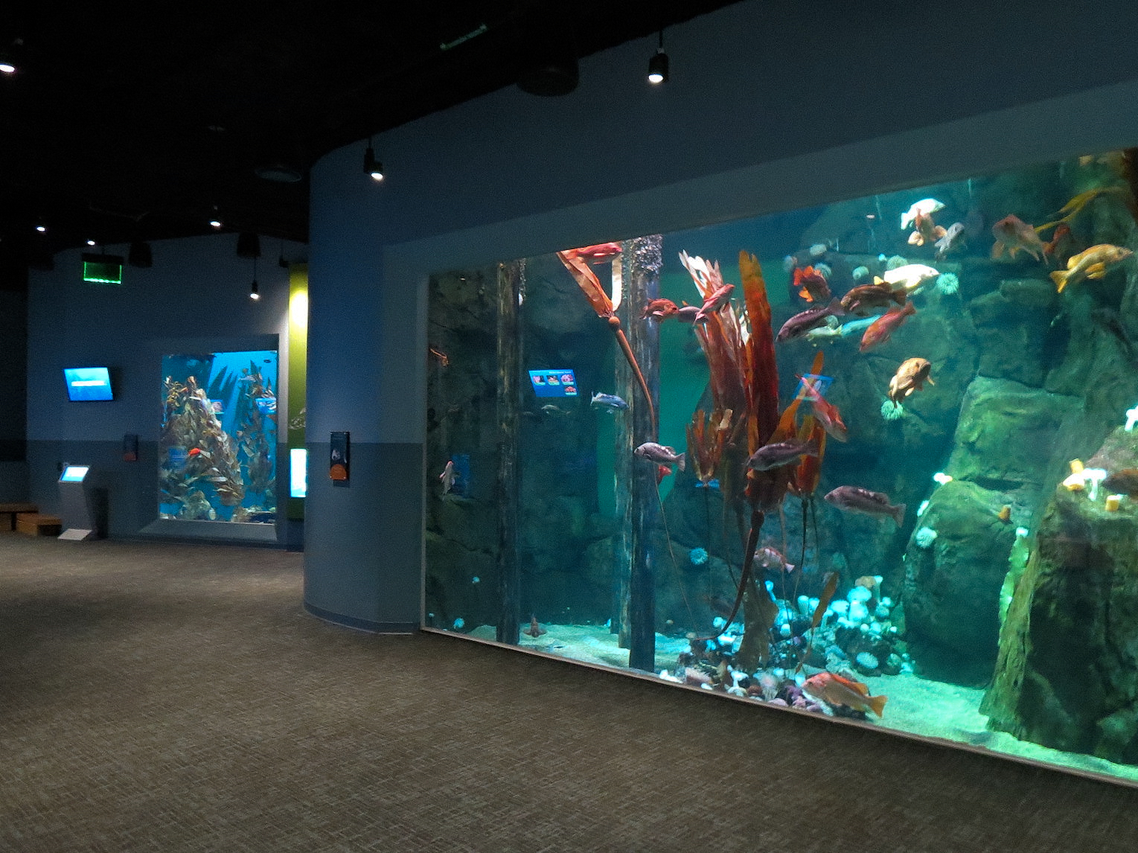 Pacific Seas Aquarium - Hallway