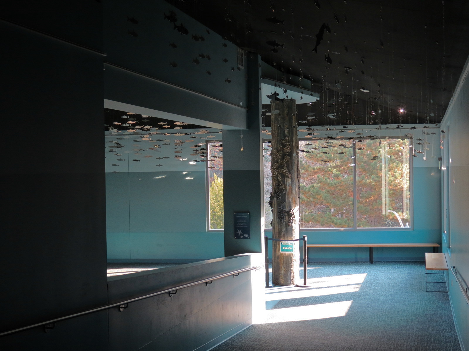 Pacific Seas Aquarium - Hallway