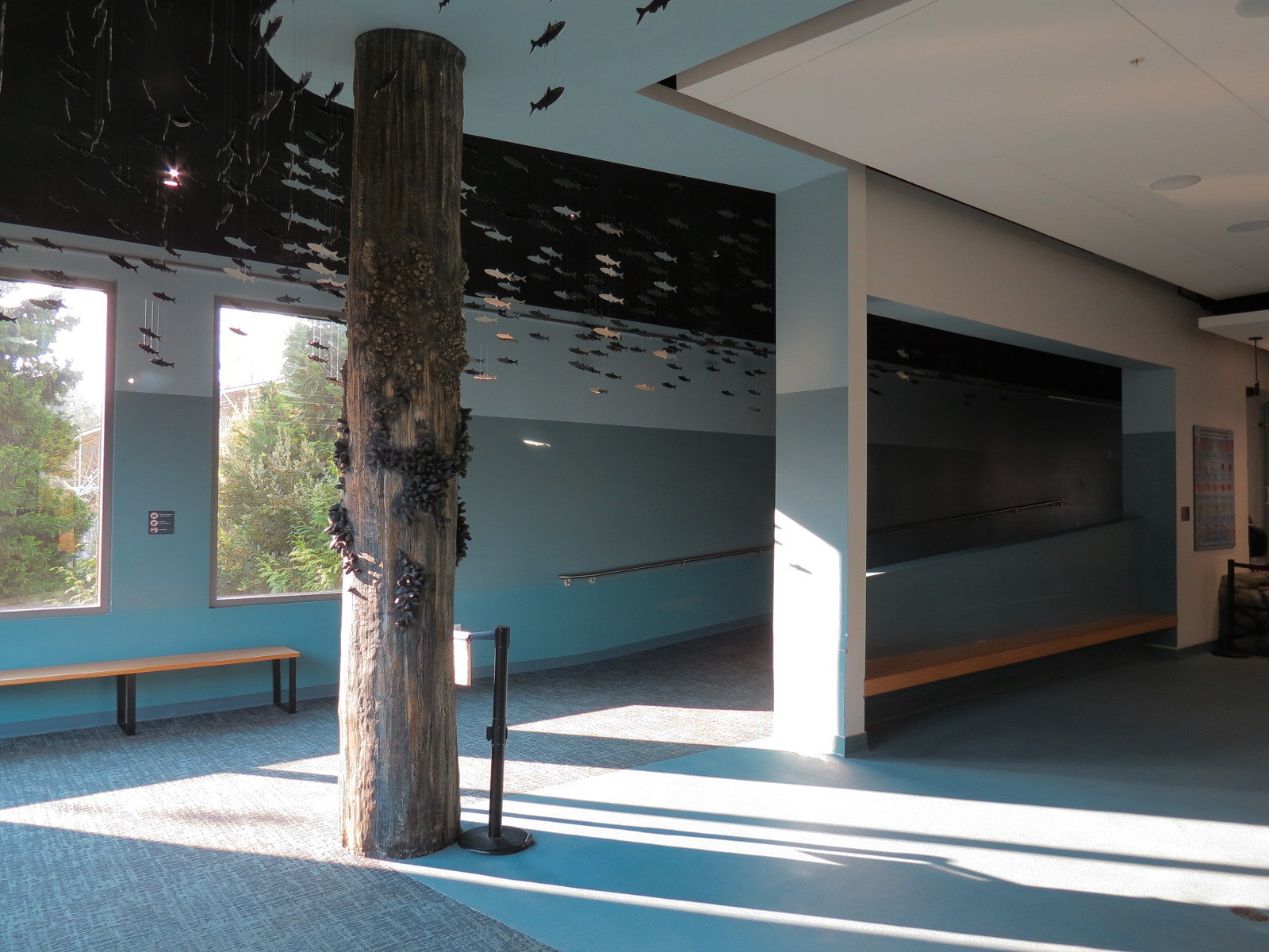 Pacific Seas Aquarium - Hallway