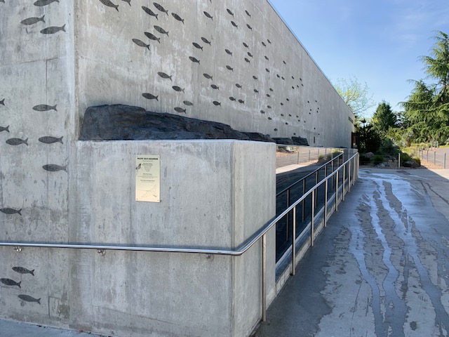 Pacific Seas Aquarium (New in 2018)