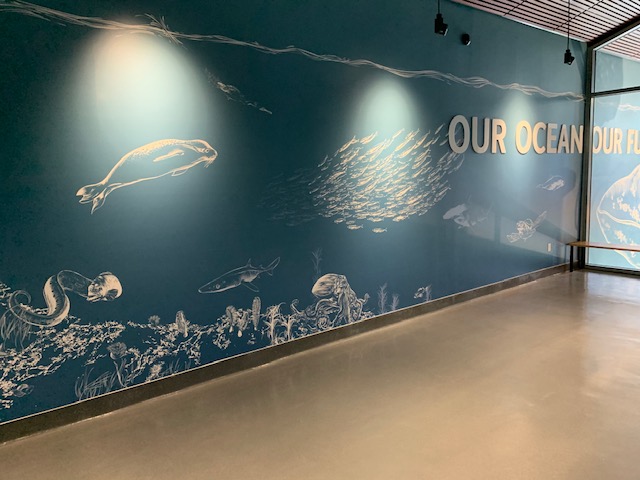 Pacific Seas Aquarium (New in 2018)