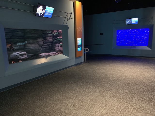 Pacific Seas Aquarium (New in 2018)